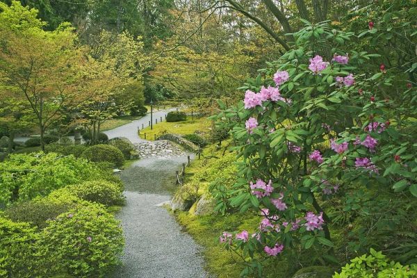 Flaherty, Dennis 아티스트의 Washington, Seattle Path through a garden park작품입니다.